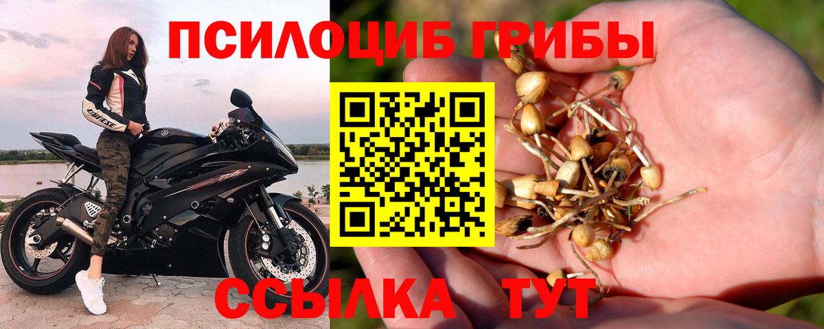 Гашиш Гусь-Хрустальный